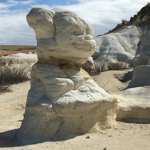 Meet your Posher, Liz